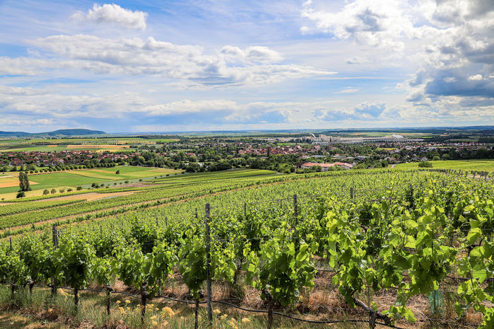 Bild ©2026 R. Schober