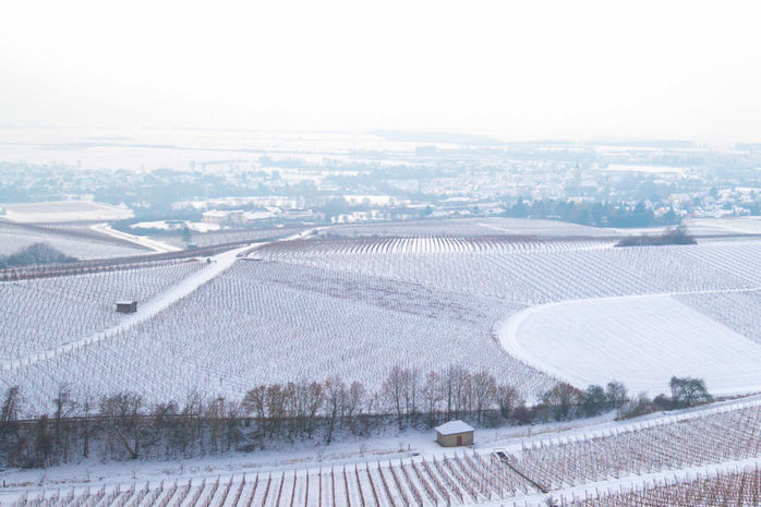 Bild ©2025 R. Schober