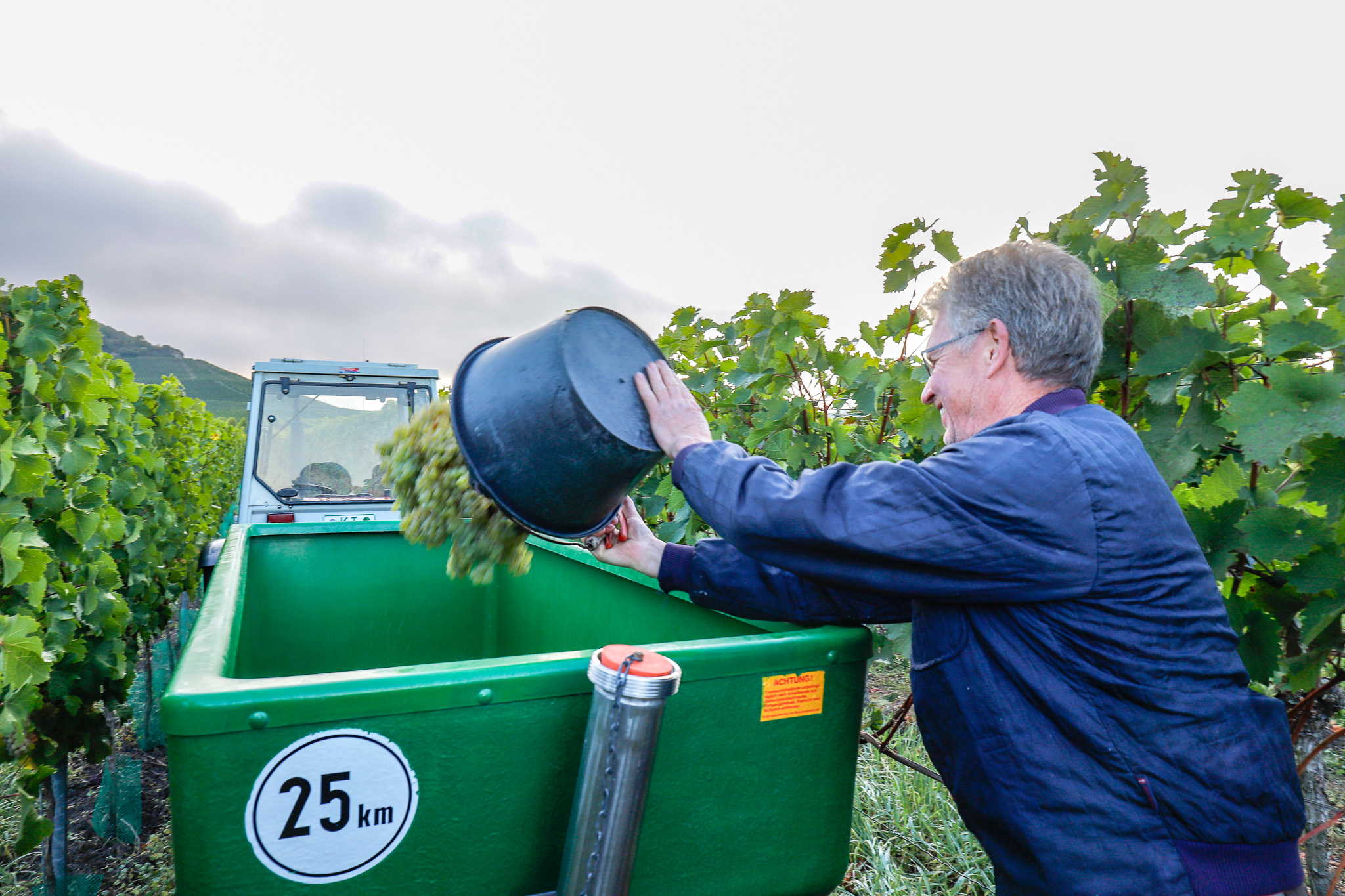 Neues aus unseren Weinbergen